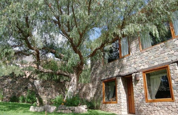 Refugio Del Pintor Inn 3*